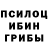 Галлюциногенные грибы прущие грибы Mini Lepka