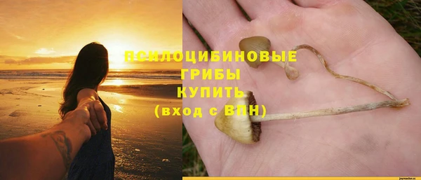 бошки Балахна