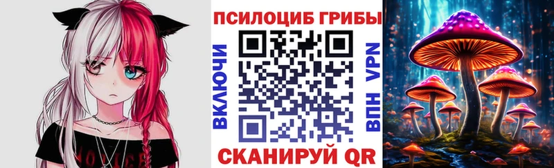цена наркотик blacksprut маркетплейс Галлюциногенные грибы прущие грибы Новая Ладога