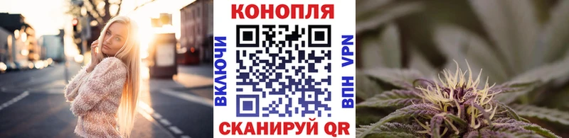 Бошки марихуана марихуана  Новая Ладога 